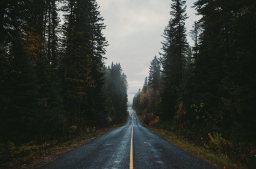 Wells Grey Provinal Park, BC