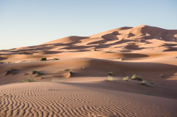 Sahara Desert, Morocco