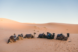 Sahara Desert, Morocco