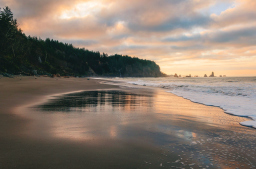 Third Beach, Olympic Peninsula, WA